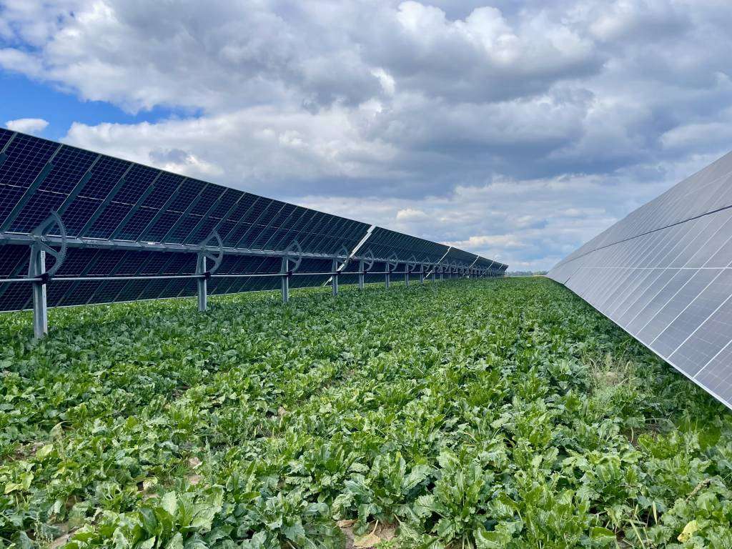 Agri-PV mit Tracker
